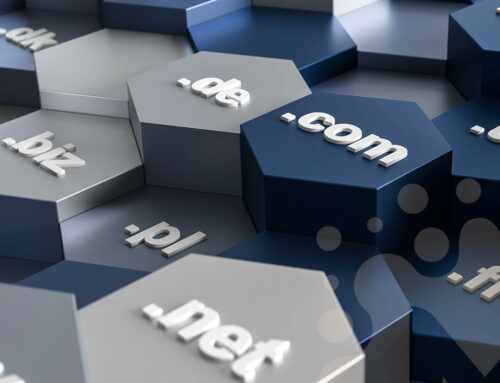 Domena – niezbędne informacje dla laików